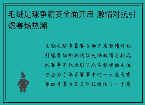 毛绒足球争霸赛全面开启 激情对抗引爆赛场热潮