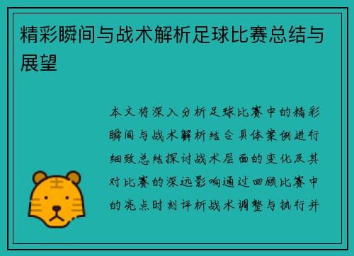 精彩瞬间与战术解析足球比赛总结与展望