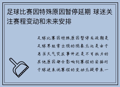 足球比赛因特殊原因暂停延期 球迷关注赛程变动和未来安排