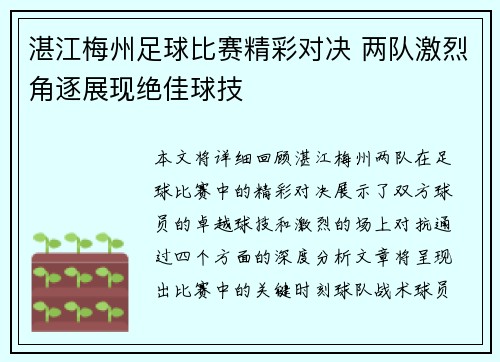 湛江梅州足球比赛精彩对决 两队激烈角逐展现绝佳球技