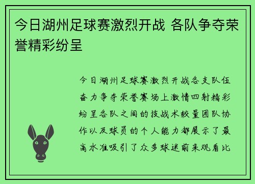 今日湖州足球赛激烈开战 各队争夺荣誉精彩纷呈