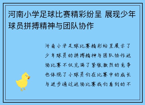 河南小学足球比赛精彩纷呈 展现少年球员拼搏精神与团队协作