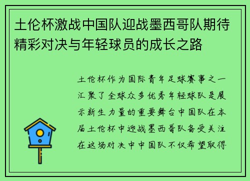 土伦杯激战中国队迎战墨西哥队期待精彩对决与年轻球员的成长之路