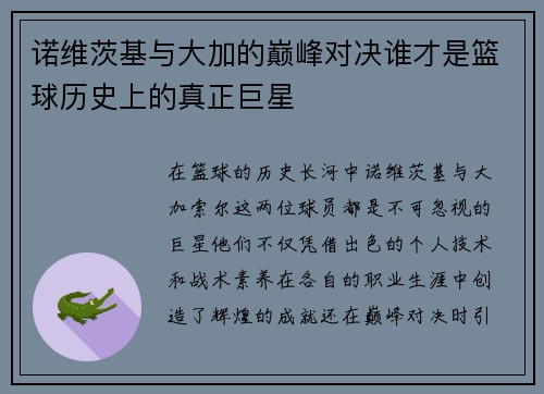 诺维茨基与大加的巅峰对决谁才是篮球历史上的真正巨星