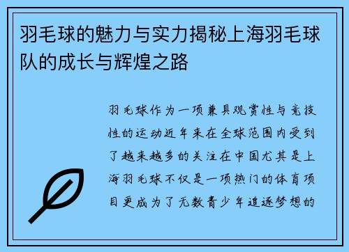 羽毛球的魅力与实力揭秘上海羽毛球队的成长与辉煌之路
